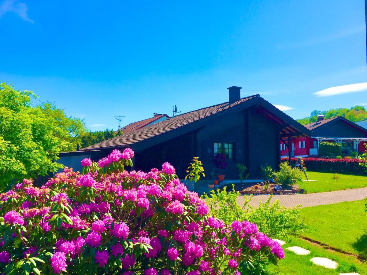 Ferienhaus Bergglueck Nonnweiler Bagian luar foto